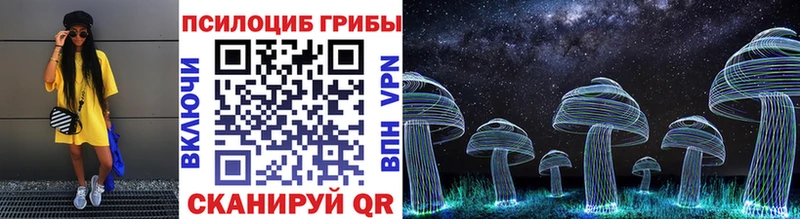 Псилоцибиновые грибы Cubensis  Серафимович 